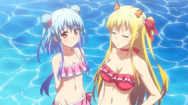 【半額】 Z/X Code anime Japanese cut: preceding 8 Episode reunion: Z/X (ゼクス)